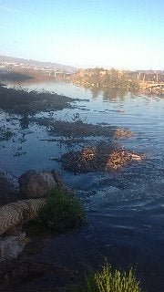 El Ayuntamiento de El Ejido se enfrenta a multas por vertidos que podrían conllevar un pago de 18.000 euros