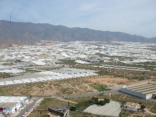 El Ejido modificará la normativa del PGOU para instalar invernaderos en suelo urbanizable