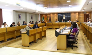 El PP aprueba en solitario quitarle a Elsur los servicios públicos de mantenimiento y dejarle el agua