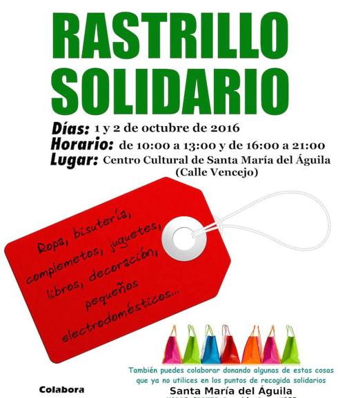 Este es el cartel inicial del I Rastrillo Solidario de El Ejido. IDEAL