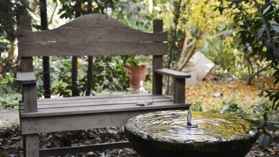 El Ayuntamiento destaca el potencial turístico del jardín botánico ‘La Almunya’