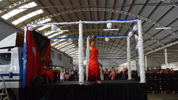 La propuesta de la bailaora ejidense, Azahara Herrera, llevó el flamenco esta semana a diferentes cooperativas. 