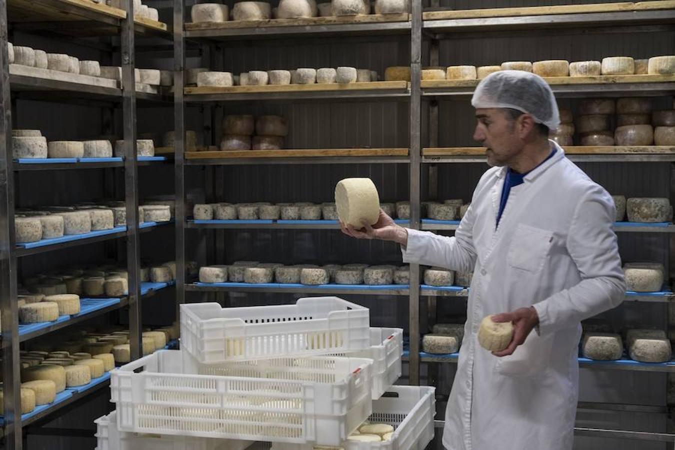 Con algo más de un año de vida y como producto estrella la leche de vaca para elaborar sus quesos y un yogur artesano exquisito, Granja Maravillas es un referente en la provincia. 