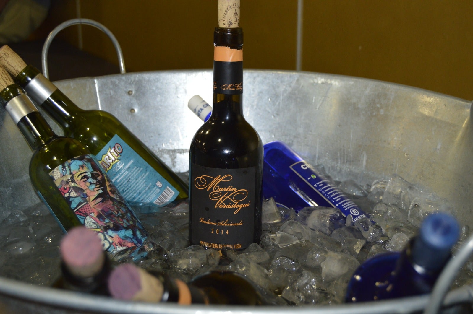 Cata Martín Verástegui y Castillo de Peñafiel