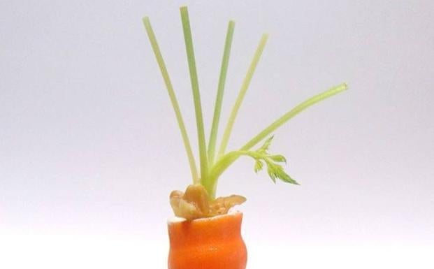 La propuesta de Marcos Pedraza, simple y sabrosa.