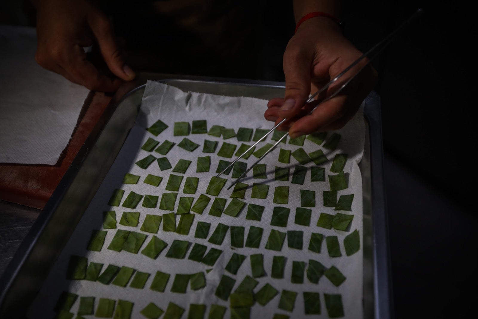 Un menú de primer nivel en un escenario de lujo.