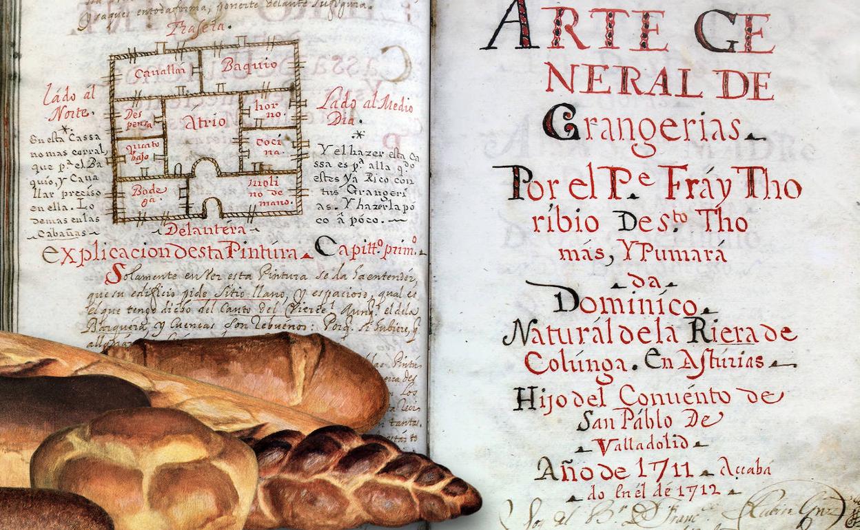 Fray Toribio y la trascendencia del pan