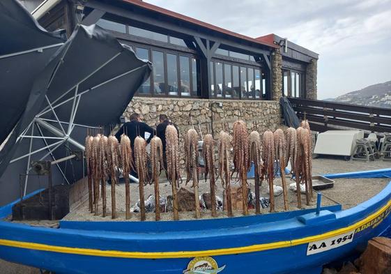 Barca para asar pulpo en Salobreña