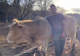 Víctor Luzón Ortiz, junto a una de sus reses en su finca.