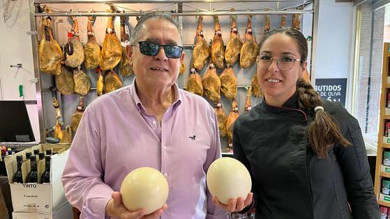 El local del Zaidín donde puedes comprar huevos de avestruz