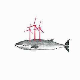 Ballenas y posidonia