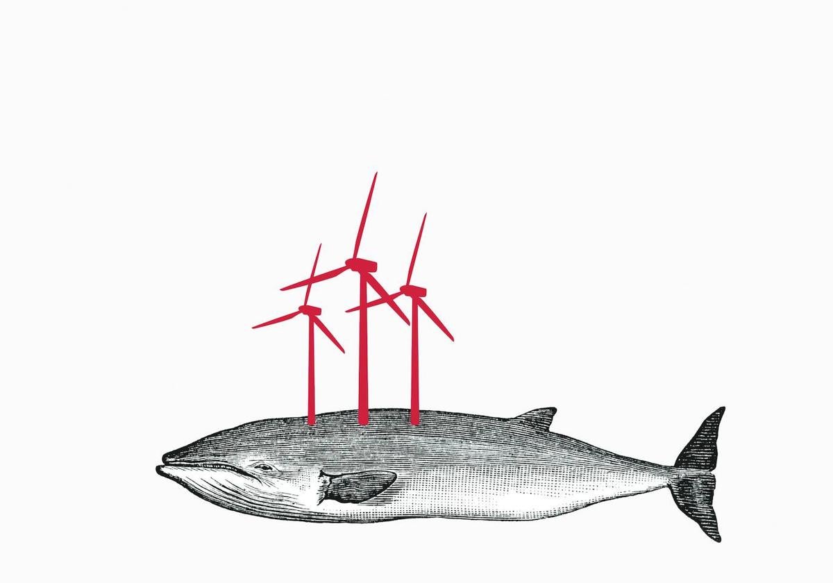 Ballenas y posidonia