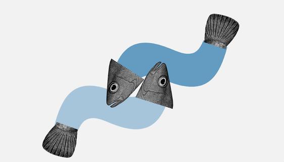 El mar y nosotros