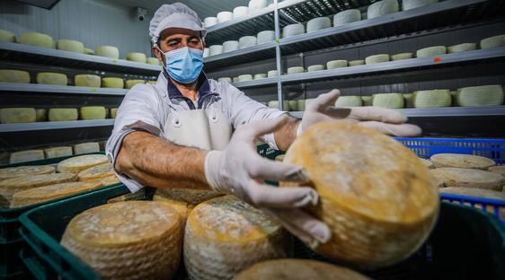 Las queserías granadinas consiguen 16 medallas en los Mundiales de Queso