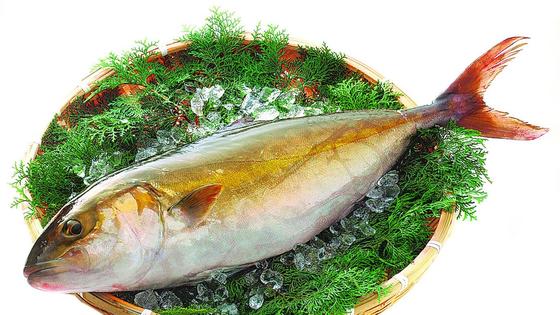 Pez limón, un chute de Omega 3