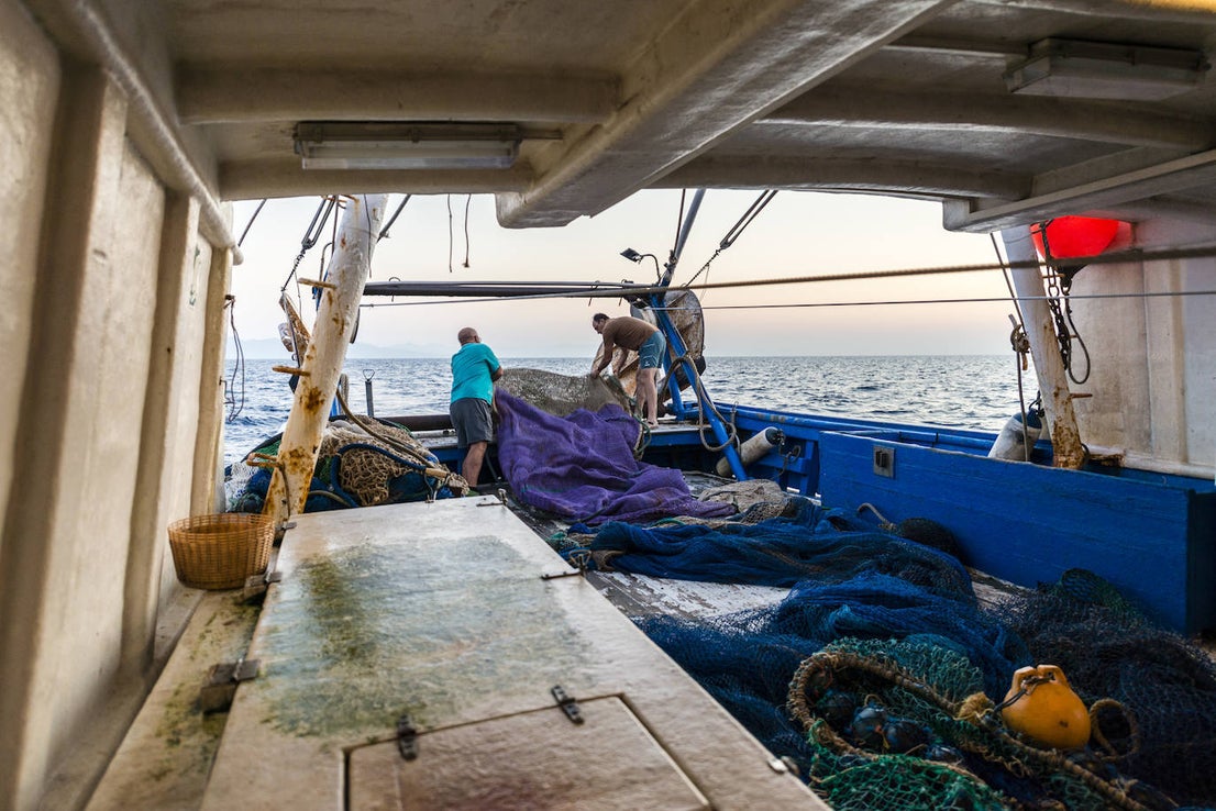 Fotos: Así se pesca la gamba roja de Garrucha