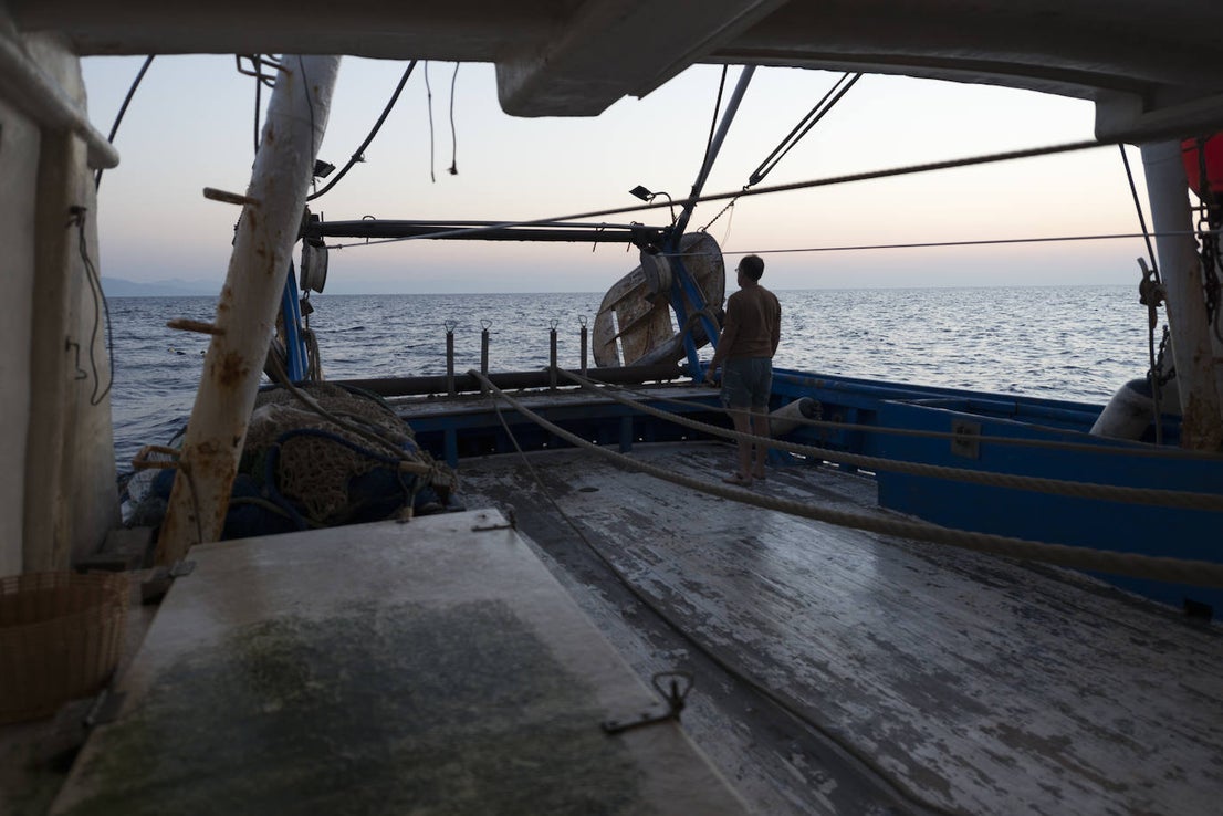 Fotos: Así se pesca la gamba roja de Garrucha