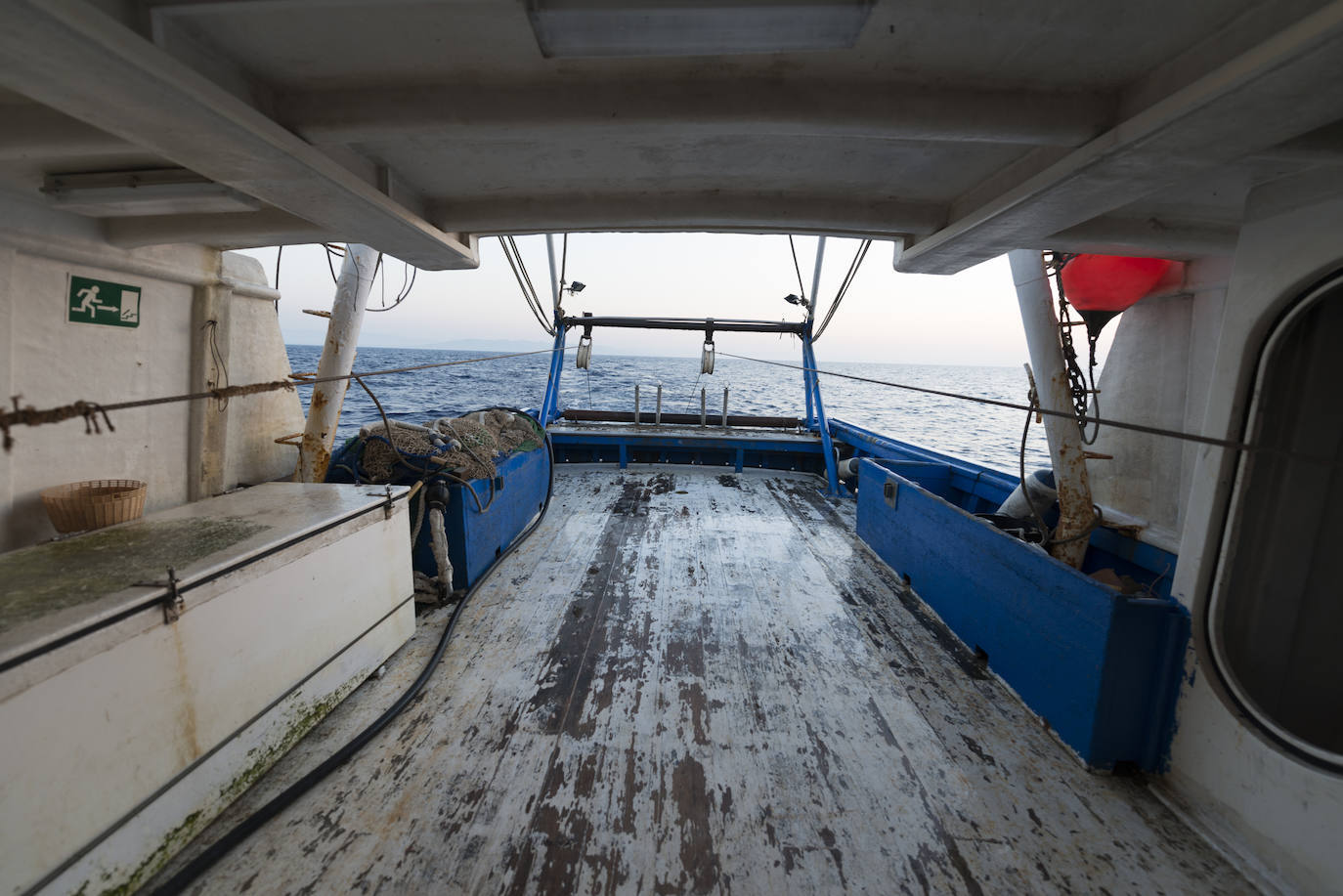 Fotos: Así se pesca la gamba roja de Garrucha