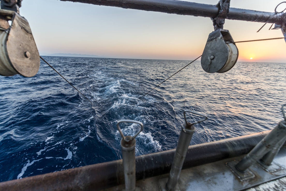 Fotos: Así se pesca la gamba roja de Garrucha