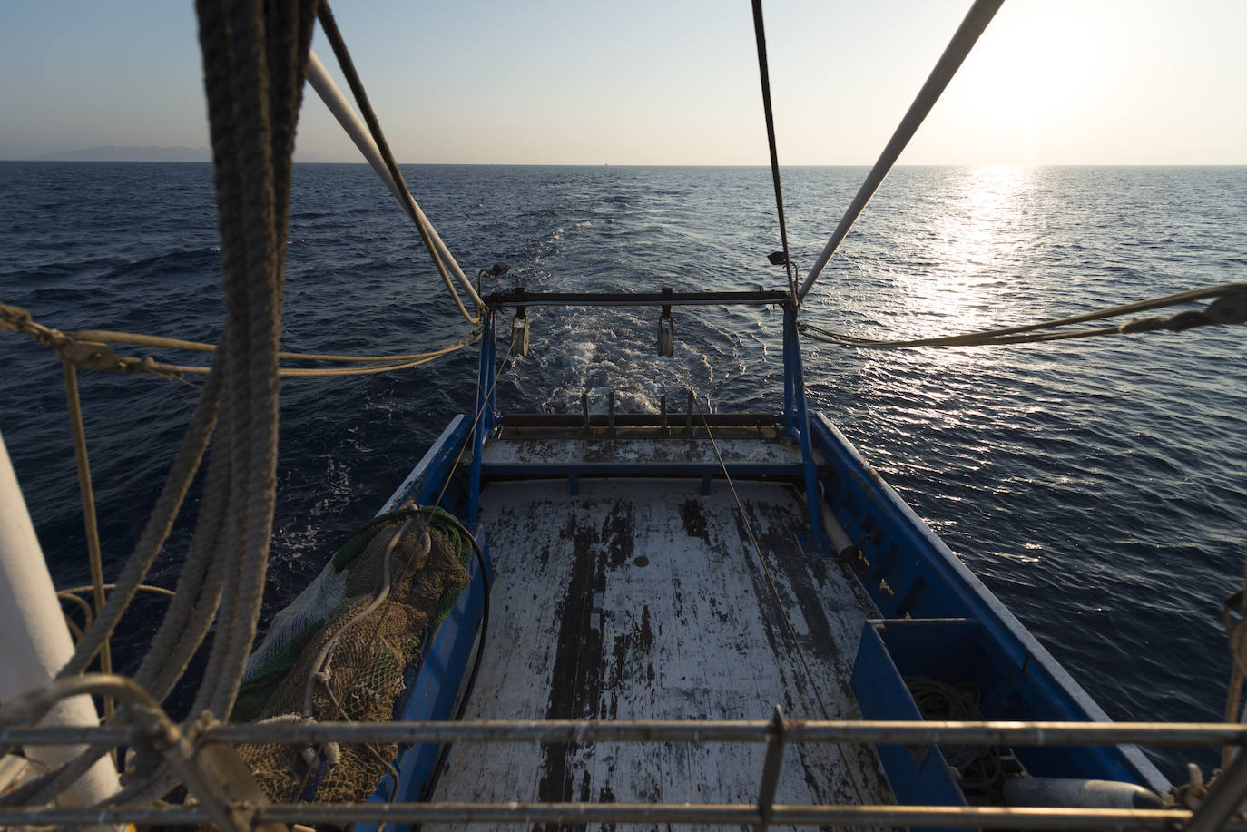 Fotos: Así se pesca la gamba roja de Garrucha