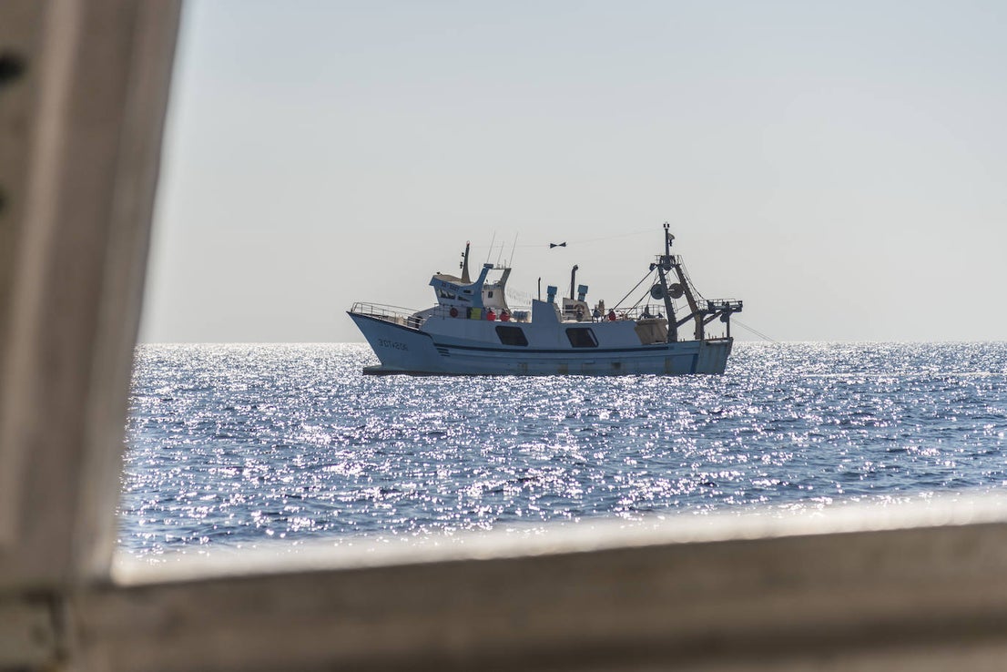Fotos: Así se pesca la gamba roja de Garrucha