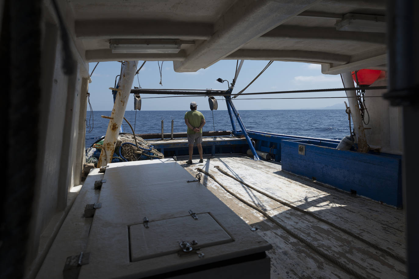 Fotos: Así se pesca la gamba roja de Garrucha