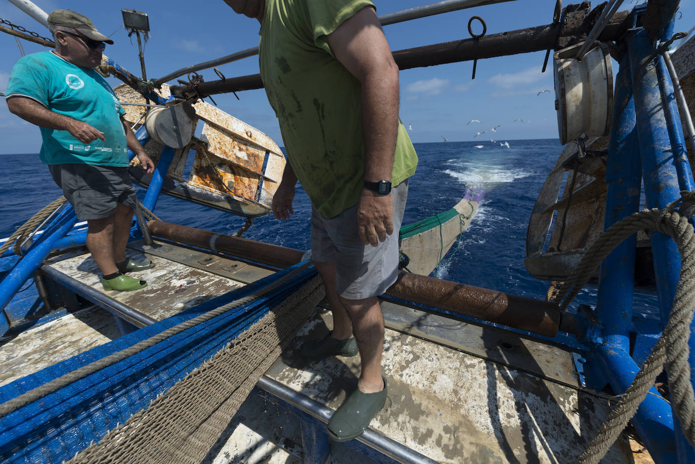 Fotos: Así se pesca la gamba roja de Garrucha