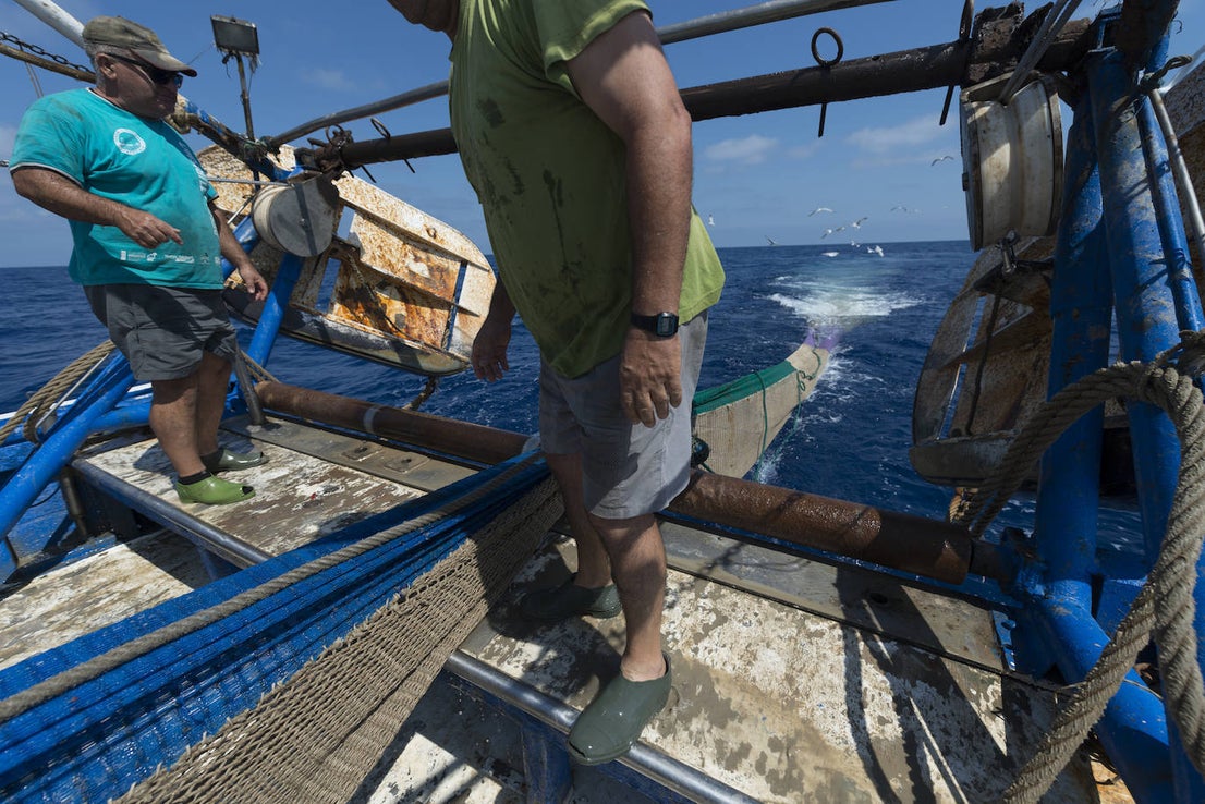 Fotos: Así se pesca la gamba roja de Garrucha
