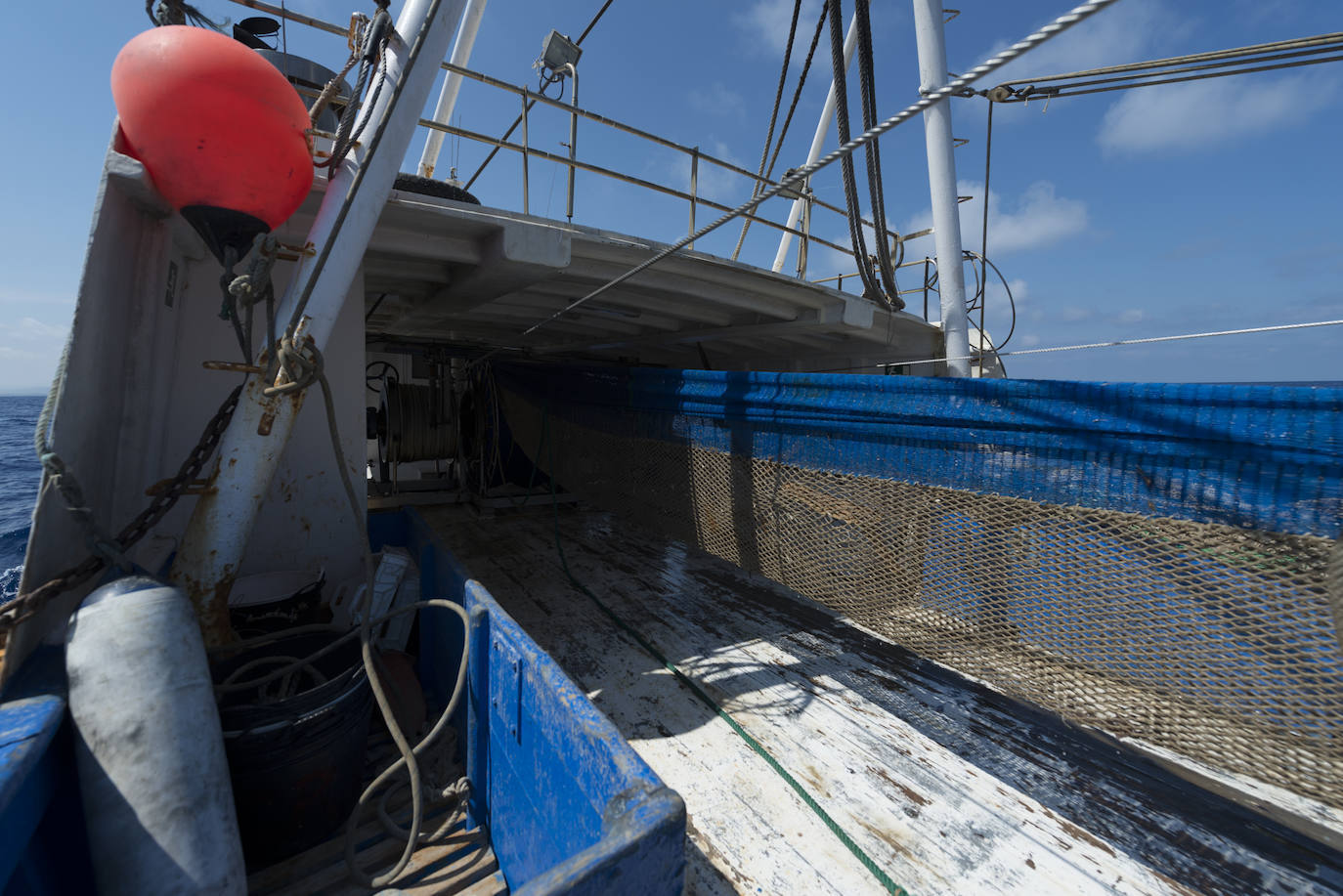 Fotos: Así se pesca la gamba roja de Garrucha