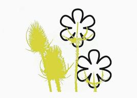 Acequia llena en el molino