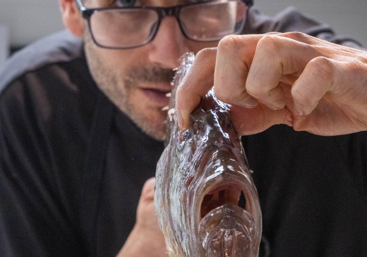 Sergio González muestra un gallopedro en Firmvm, restaurante de Almuñécar que permite comerse el Mar de Alborán.