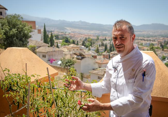 Esaú Hita muestra una de las matas de pimientos que cultiva él mismo en el huerto ecológico de Hotel Alhambra Palace.