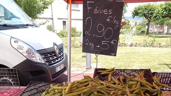 En todas partes cuecen habas desde los tiempos de los antiguos egipcios