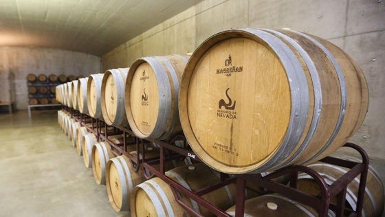 La Bodega Señorío de Nevada, premiada en el prestigioso Frankfurt International Trophy 2026