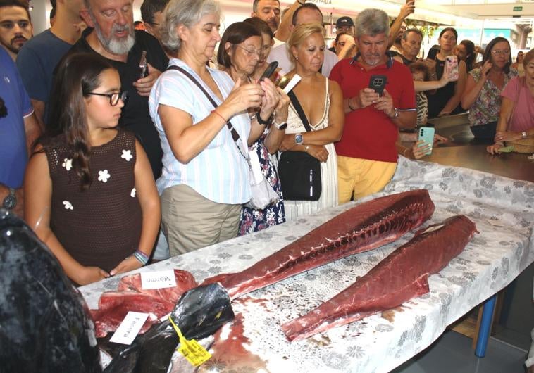 Imagen principal - Exhibición de ronqueo del atún en Almuñécar.