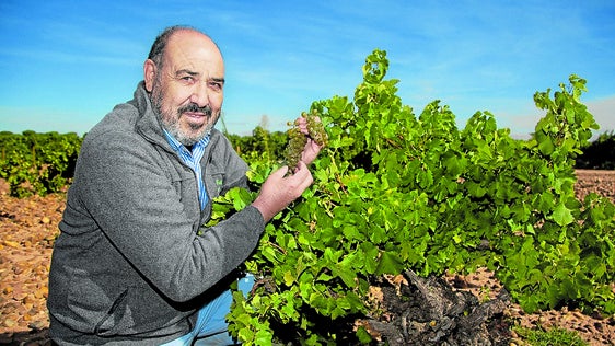Viaje por los vinos de uvas raras en España
