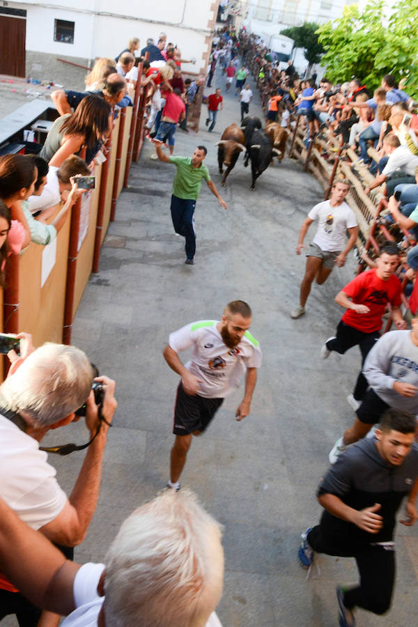 Gor celebra desde este martes y hasta el jueves, a partir de las ocho de la mañana, sus tradicionales encierros