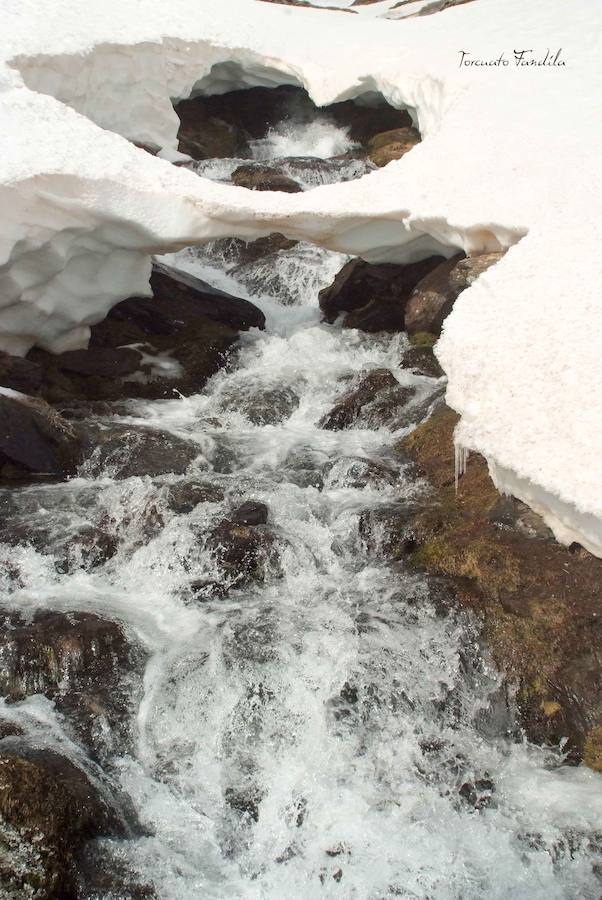 Las precipitaciones de los últimos meses han permitido que el deshielo en el Alhorí sea un gran espectáculo de la naturaleza en este último tramo de la primavera. 