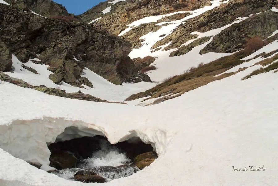 Las precipitaciones de los últimos meses han permitido que el deshielo en el Alhorí sea un gran espectáculo de la naturaleza en este último tramo de la primavera. 