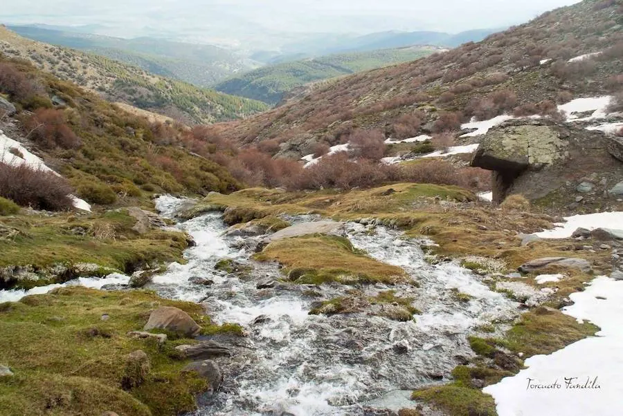 Las precipitaciones de los últimos meses han permitido que el deshielo en el Alhorí sea un gran espectáculo de la naturaleza en este último tramo de la primavera. 