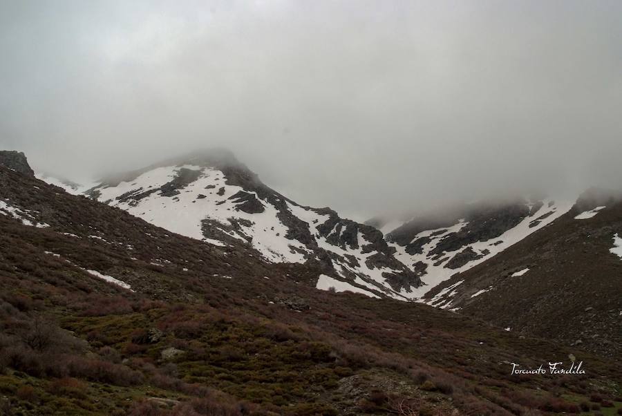 Las precipitaciones de los últimos meses han permitido que el deshielo en el Alhorí sea un gran espectáculo de la naturaleza en este último tramo de la primavera. 