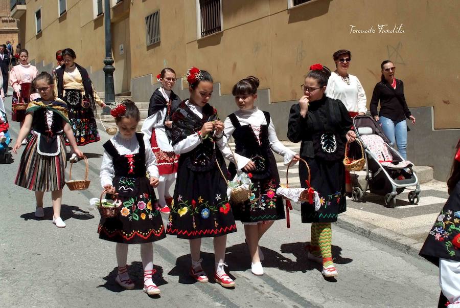 Como cada 15 de mayo la ciudad de Guadix ha celebrado la festividad de San Torcuato. Tras la misa pontifical en la catedral ha dado comienzo la procesión con la imagen del patrón y la reliquia. En la procesión han participado representantes del Ayuntamiento de Guadix y de las hermandades y cofradías de la diócesis