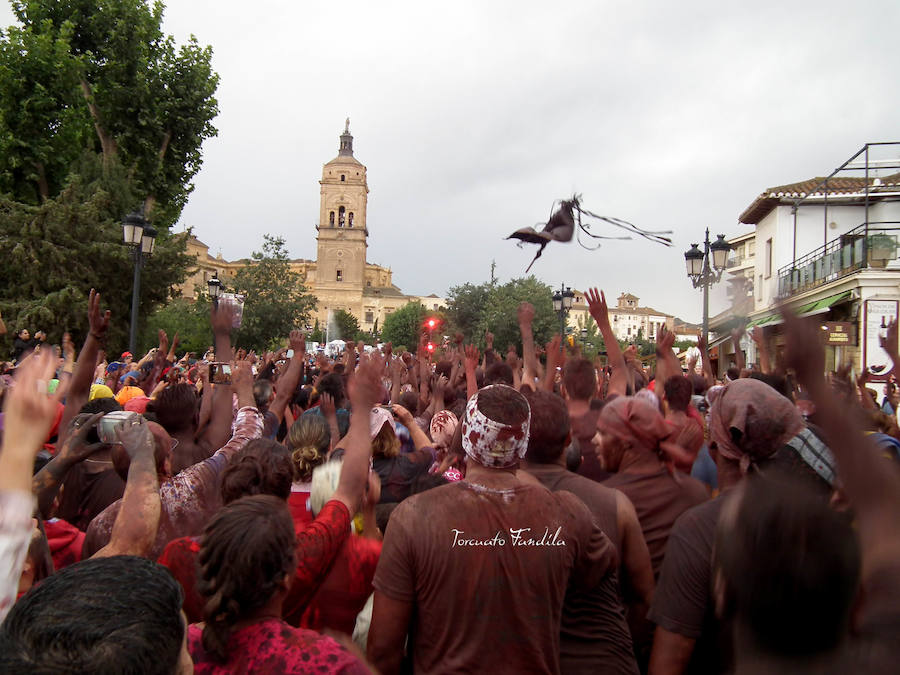 Ni el fresquito más que otoñal de la tarde ni la amenaza de lluvia (que incluso se ha hecho presente en algunos tramos de la carrera) ha podido este domingo con las ganas de Cascamorras que tenía Guadix. La ciudad y los muchos visitantes que cada año se animan a disfrutar de la fiesta (cada año más, algunos de lugares tan lejanos como Australia) se han volcado con José Heras, el joven accitano encargado de encarnar este año la figura del Cascamorras.