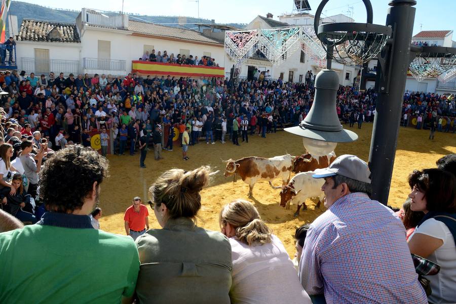 La localidad celebra el primero de los encierros previstos en sus fiestas en honor a la Virgen del Rosario y el Cristo de la Misericordia