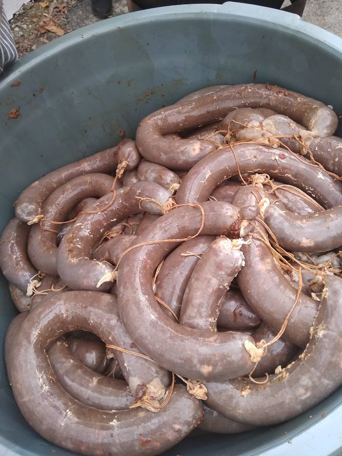 La localidad de Cortes y Graena organiza durante el fin de semana del 6, 7 y 8 de diciembre la I Fiesta de la Matanza, en la que se podrán degustar productos típicos del cerdo. La actividad se organiza por la Asociación de Turismo y Comercio de Cortes y Graena, los vecinos y el propio Ayuntamiento de la localidad.