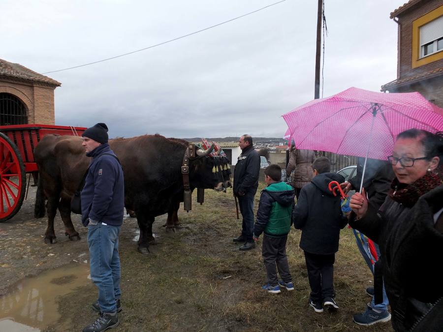 La tradicional romería a la ermita de San Antón quedó pasada por agua este domingo. No obstante el santo bendijo a los animales que llegaron al lugar. Quienes se acercaron a la era en la que se encuentra la ermita puideron, al menos, componer la tradicional cuña de San Antón con los productos típicos de la época.