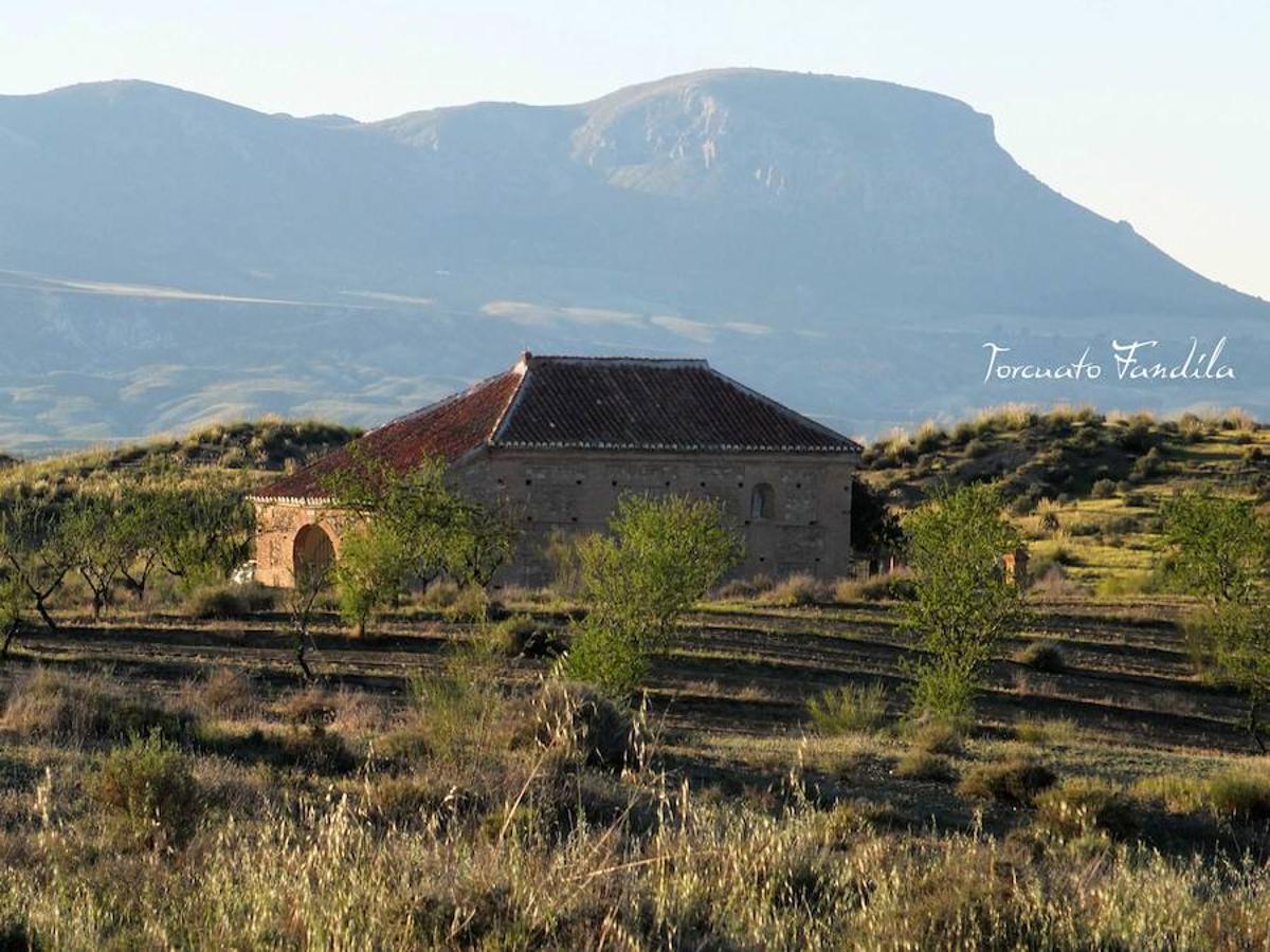 El primero de los actos en honor al patrón de Guadix, la romería de Face Retama, se celebró este sábado 11 de mayo. Como es habitual, la romería contó con un gran número de devotos. Uno de los momentos más emotivos es la procesión de las antorchas.