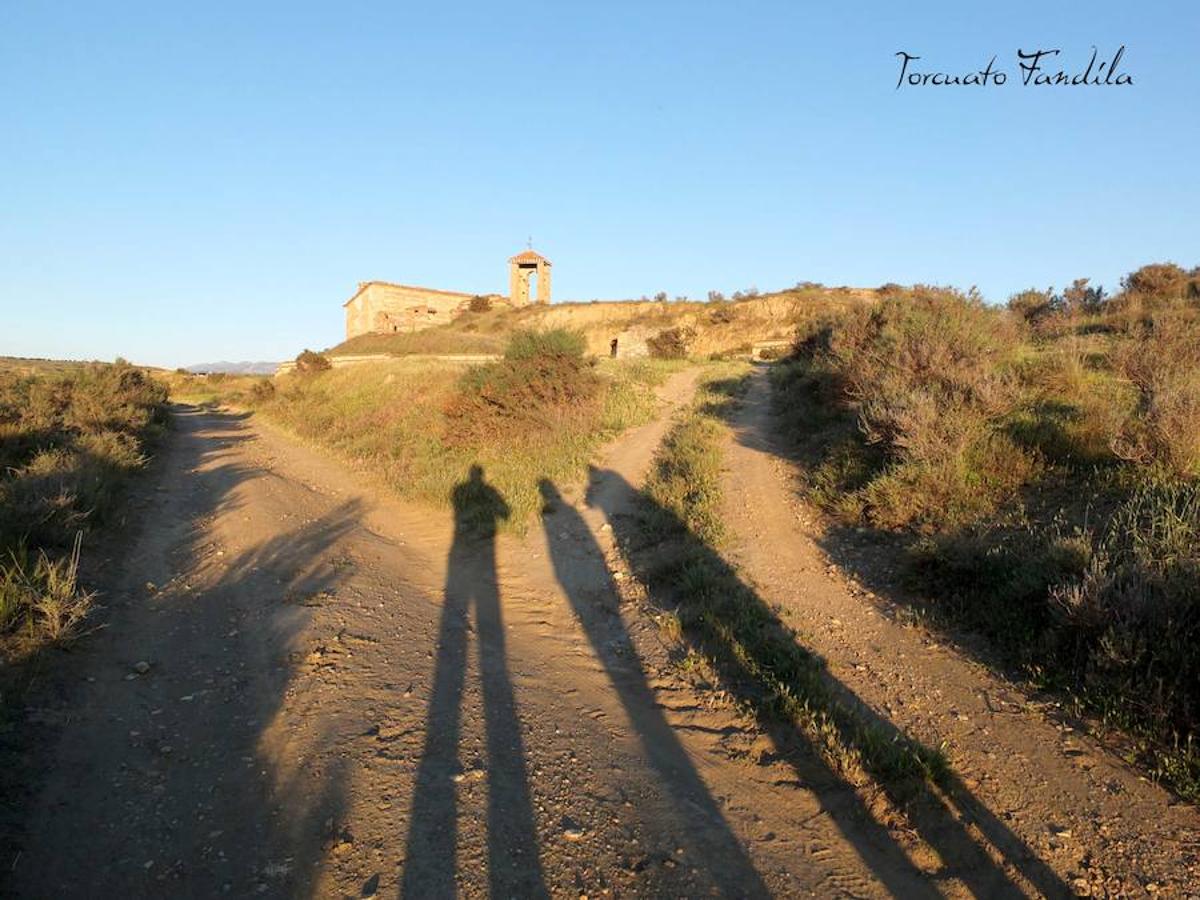 El primero de los actos en honor al patrón de Guadix, la romería de Face Retama, se celebró este sábado 11 de mayo. Como es habitual, la romería contó con un gran número de devotos. Uno de los momentos más emotivos es la procesión de las antorchas.