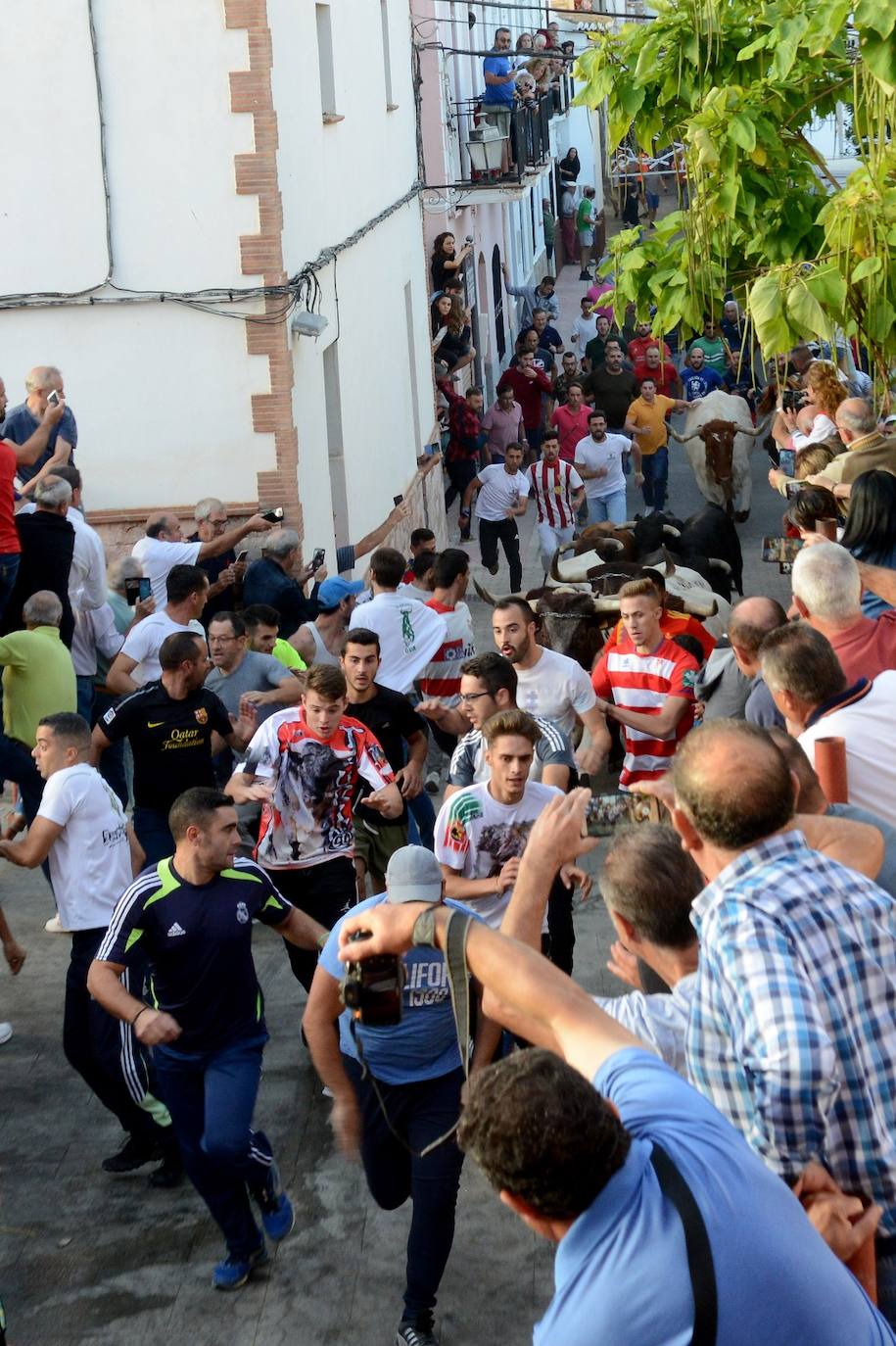 La localidad de Gor ha celebrado el primero de los tres encierros taurinos de las fiestas de San Cayetano. Se han corrido cuatro novillos de la ganadería Astolfi, que esta tarde serán lidiados por los primeros cuatro novilleros que este año aspiran al prestigioso trofeo Almendra de Plata. El encierro ha discurrido con normalidad y no se han tenido que lamentar incidentes de importancia. A juicio de algunos aficionados el paso de los novillos ha sido lento. 
