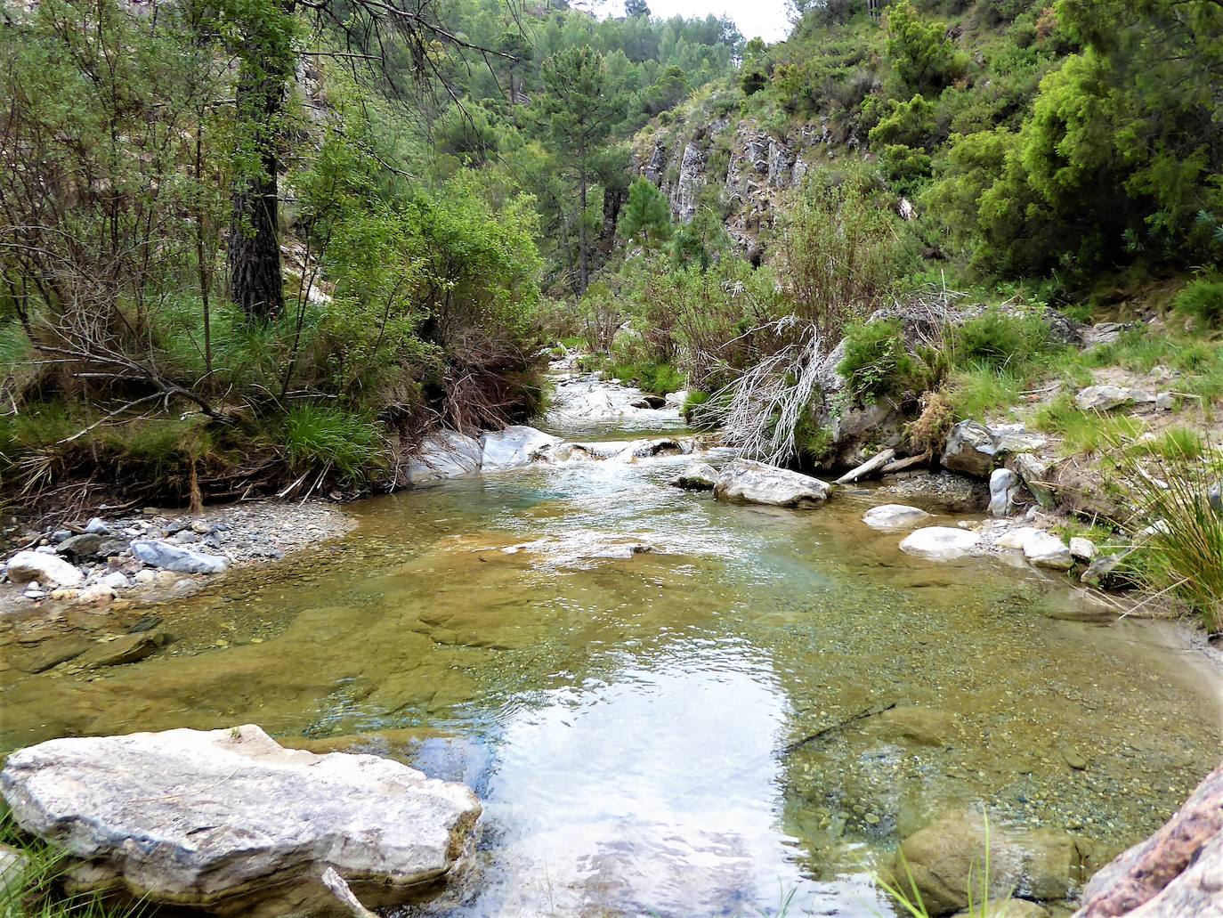 Fotos: Concurso de fotografía de la peña El Albondigón de Huétor Vega